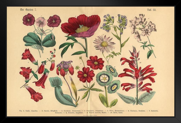 Red Exotic Flowers Victorian Botanical Illustration Art Print Stand or Hang Wood Frame Display Poster Print 13x9