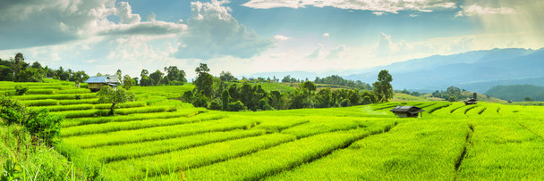 Rice Terraces Fields Landscape Panoramic Photo Cool Wall Decor Art Print Poster 12x36