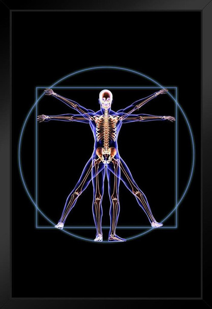 Vitruvian Man Skeleton Anatomy X Ray Photo Photograph Art Print Stand or Hang Wood Frame Display Poster Print 9x13