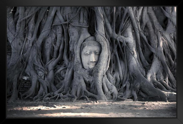 Head of Buddha Statue Tree Roots Temple of the Great Relics Thailand Photo Photograph Art Print Stand or Hang Wood Frame Display Poster Print 13x9