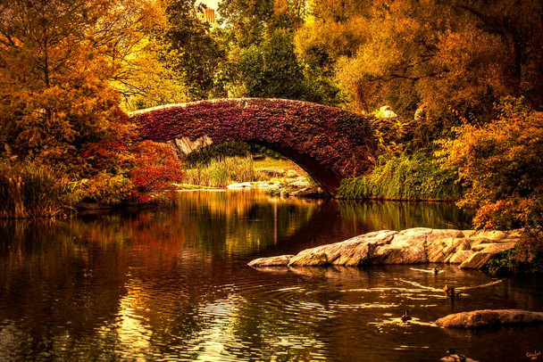 Gapstow Bridge by Chris Lord Photo Photograph Thick Paper Sign Print Picture 8x12