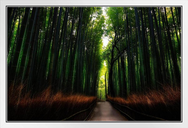 Footpath Through Bamboo Forest in Arashiyama Japan Photo Photograph White Wood Framed Poster 20x14