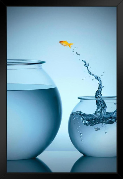 Goldfish Jumping From Small Bowl Into Big Bowl Photo Photograph Art Print Stand or Hang Wood Frame Display Poster Print 9x13