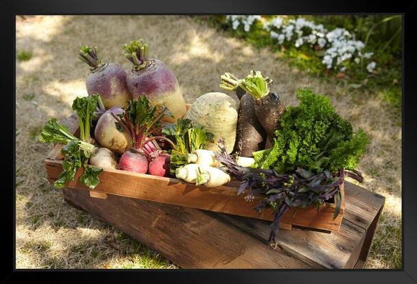 Garden Vegetables in a Wooden Box Photo Photograph Art Print Stand or Hang Wood Frame Display Poster Print 13x9