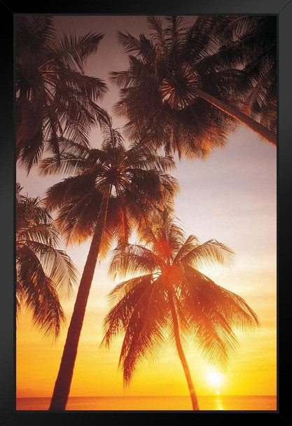 Palms at Sunrise Tropical Beach Photo Photograph Art Print Stand or Hang Wood Frame Display Poster Print 9x13