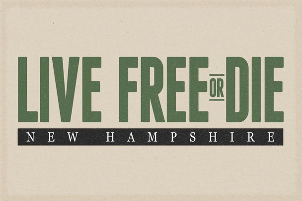 Live Free Or Die New Hampshire Granite State Motto Pride Home Travel Modern Retro Vintage Style Cool Wall Art Print Poster 24x36