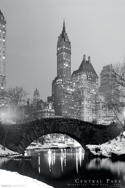 Central Park Winter Manhattan NYC Cool Wall Decor Art Print Poster 24x36