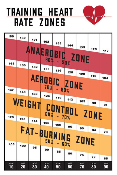 Training Heart Rate Zones Workout Gym Fitness Aerobic White Cardio Heartbeat Running Exercise Thick Paper Sign Print Picture 8x12