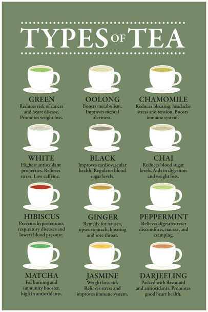 Laminated Tea Drink Types Chart Poster Health Benefits Diagram Varieties Infographic Like Coffee Drinking Kitchen Cafe Decoration Green Color Poster Dry Erase Sign 12x18