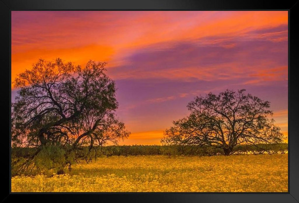 Vibrant Sunset in Fredericksburg Texas Photo Photograph Art Print Stand or Hang Wood Frame Display Poster Print 13x9