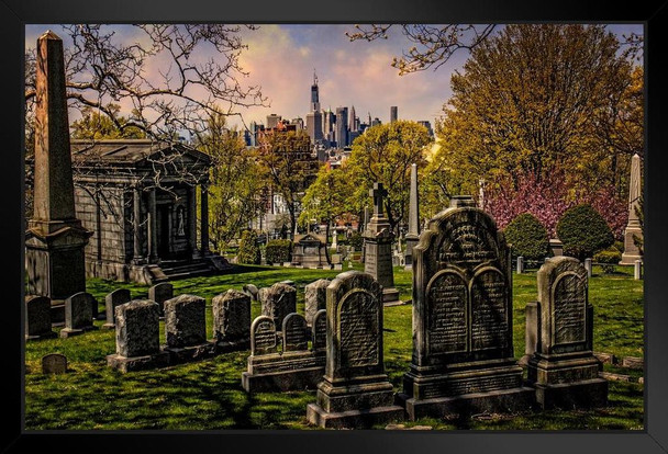 View From A Brooklyn Cemetery by Chris Lord Photo Photograph Art Print Stand or Hang Wood Frame Display Poster Print 9x13