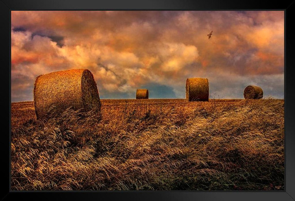 Hay Field by Chris Lord Photo Photograph Art Print Stand or Hang Wood Frame Display Poster Print 9x13