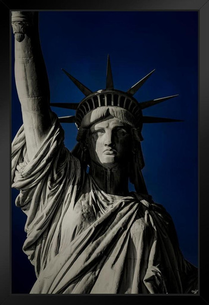 Portrait Of Liberty by Chris Lord Photo Photograph Art Print Stand or Hang Wood Frame Display Poster Print 9x13