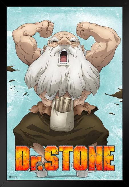 Dr Stone Yuzuriha Wall Scroll Anime Series Crunchyroll Webtoon Merch Anime  Poster Dr Stone Merch Anime Wall Art Manga Wall Decor Doctor Stone Animated  Series Cool Wall Decor Art Print Poster 12x36 