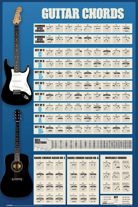 Guitar Evolution Music Stretched Canvas Wall Art 16x24 inch