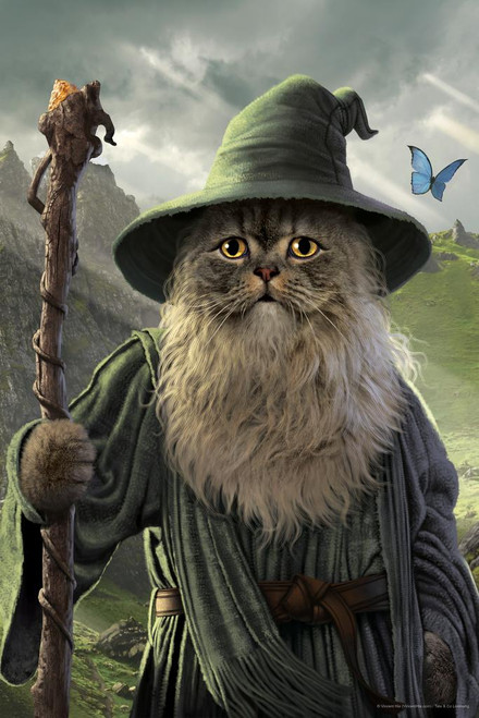 Catdalf Wizard Cat Animal Mashup by Vincent Hie Fantasy Cat Poster Funny Wall Posters Kitten Posters for Wall Funny Cat Poster Inspirational Cat Poster Cool Wall Art Print Poster 16x24 Poster Foundry