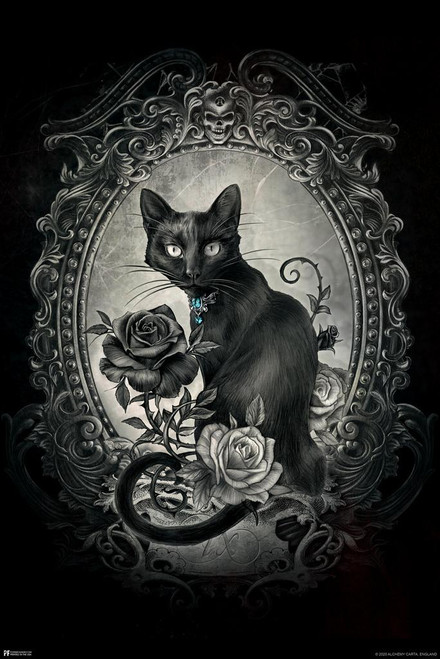 Laminated Alchemy Paracelsus Black Cat Gothic Goth Room Decor Laminated Alchemy Paracelsus Black Cat Gothic Goth Room Decor