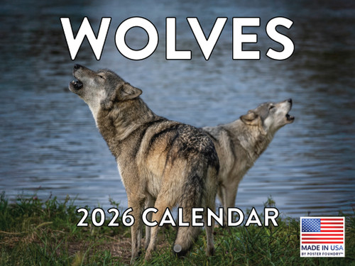 Wolf Calendar 2026 Wolves Monthly Wall Calender 12 Month American 268177 1024 