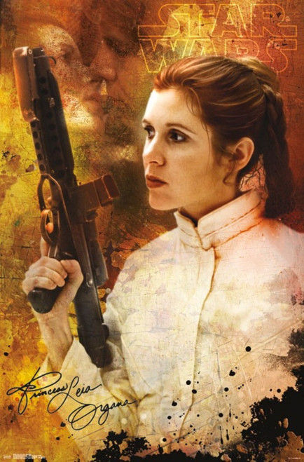 Star Wars Princess Leia Signature Movie Cool Wall Decor Art Print Poster  22x34