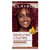 Clairol Textures & Tones Permanent Hair Color (Zero Ammonia) (x 6 )