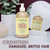 Shea Moisture Jamaican Black Castor Oil Conditioner (x 4 )