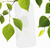 Glass Elite screen protector kit for Pixel 8a with TÜV Rheinland and FSC certifications, 30% recycled glass.