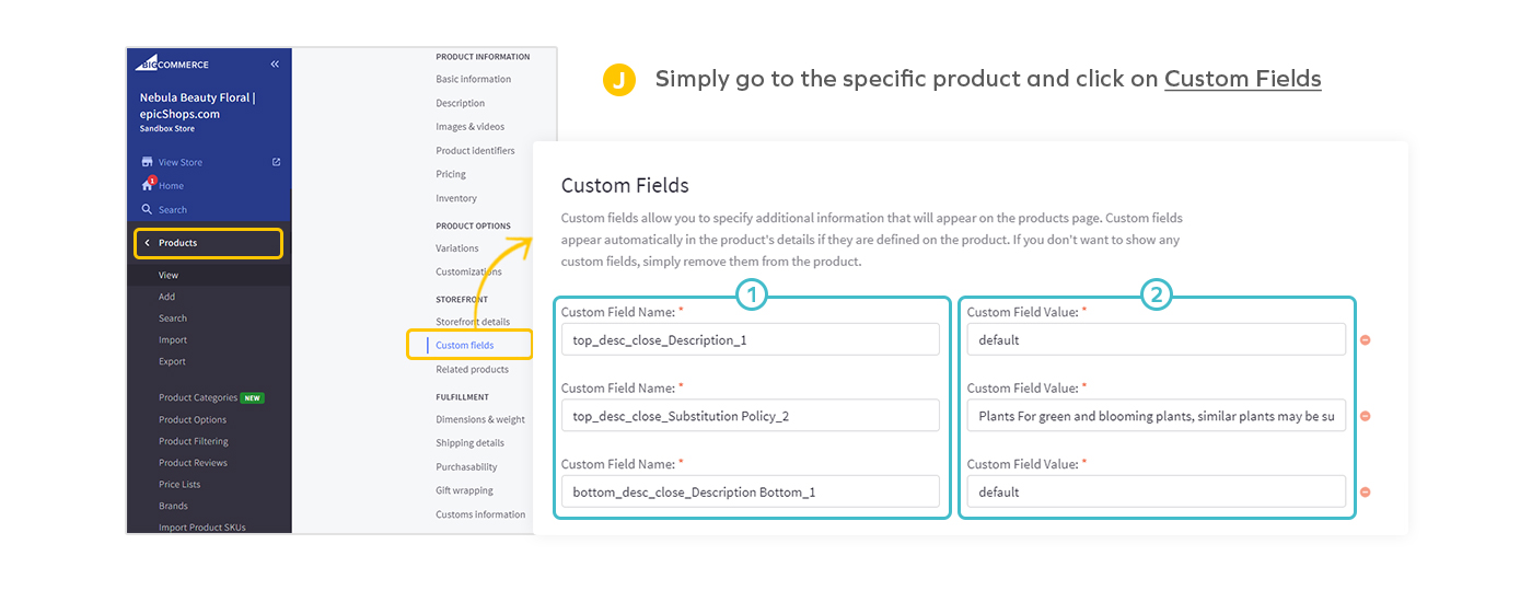 Nebula Product Features