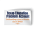 Texas Education Freedom Account (4" x 2.25" Vinyl Sticker -- Pack of Two!)