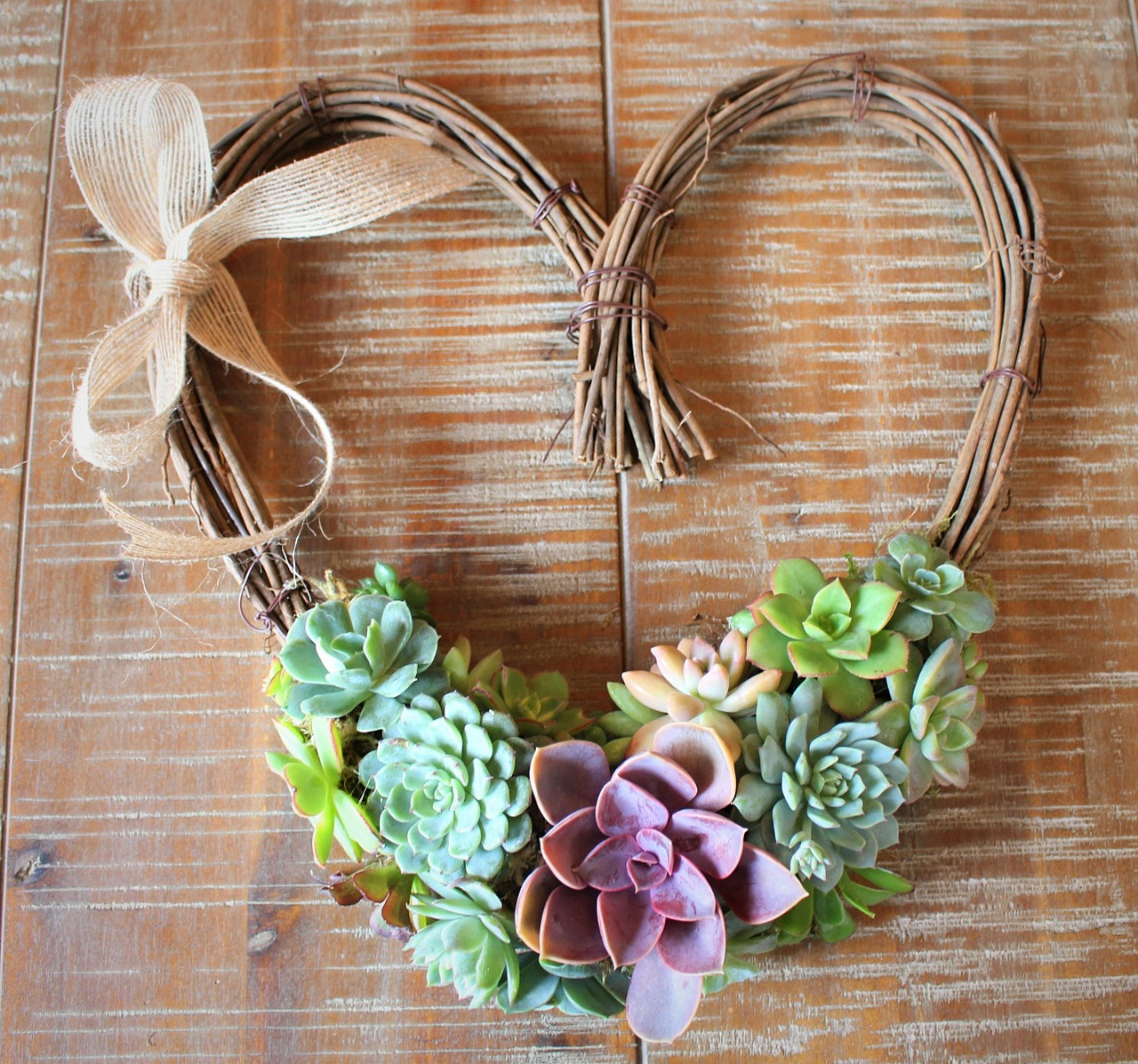 Succulent Arrangement Live Succulents Heart Wreath Holiday Gift