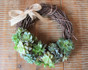 succulent vine wreath 10 inch succulent vine wreath 10 inch