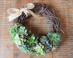 succulent vine wreath 10 inch