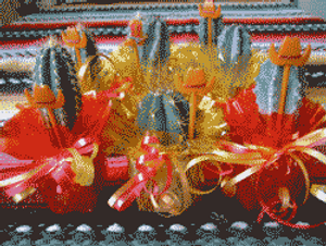 Mini Cactus Plants Tex-Mex 20 Party Favors Mini Cactus Plants Tex-Mex 20 Party Favors