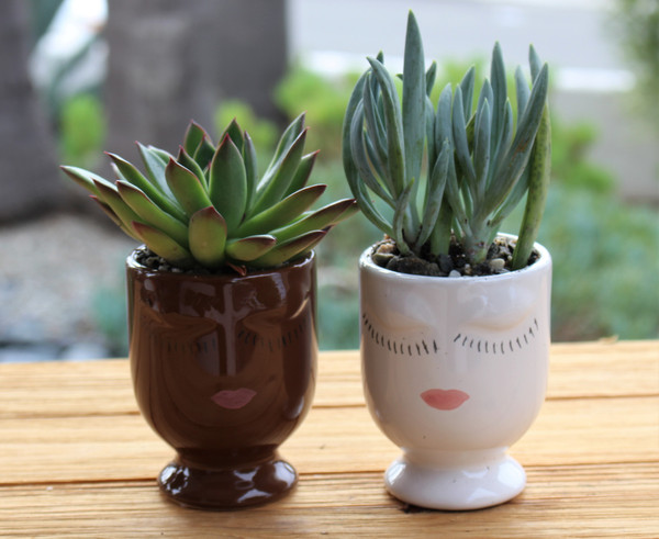 Succulent Design Studio  Head Planter Duo