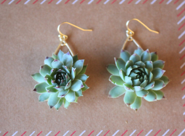 Gift Succulent Earrings Live Plant