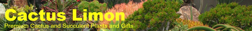 header-1170.jpg header-1170.jpg
