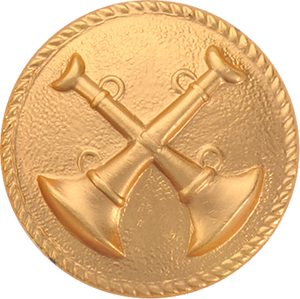 battalion chief solid disk, clutch back emblem, fire department chief badge, rank insignia, California fire chief insignia, fire insignia battalion chief solid disk, clutch back emblem, fire department chief badge, rank insignia, California fire chief insignia, fire insignia