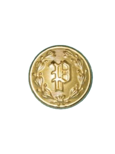 Waterbury 24L “P” Button with raised letter design gold finish Waterbury 24L “P” Button with raised letter design gold finish