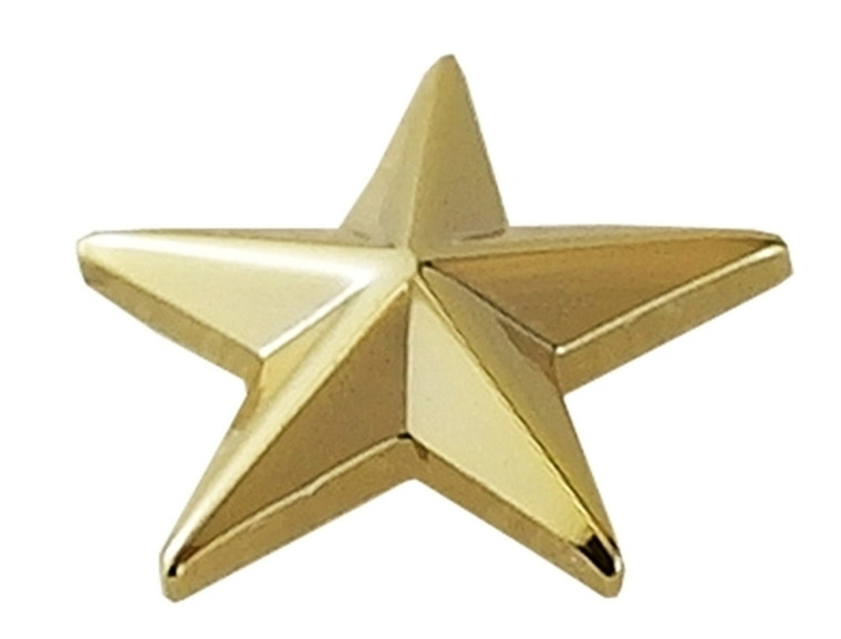 Hero’s Pride 1 Star Pin gold finish Hero’s Pride 1 Star Pin gold finish