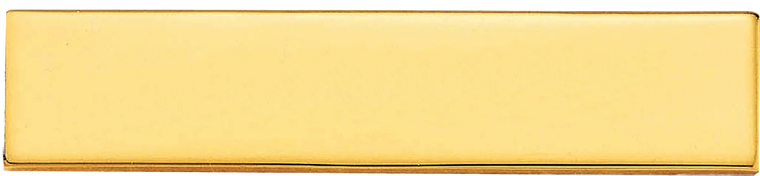 professional name bar in gold finish