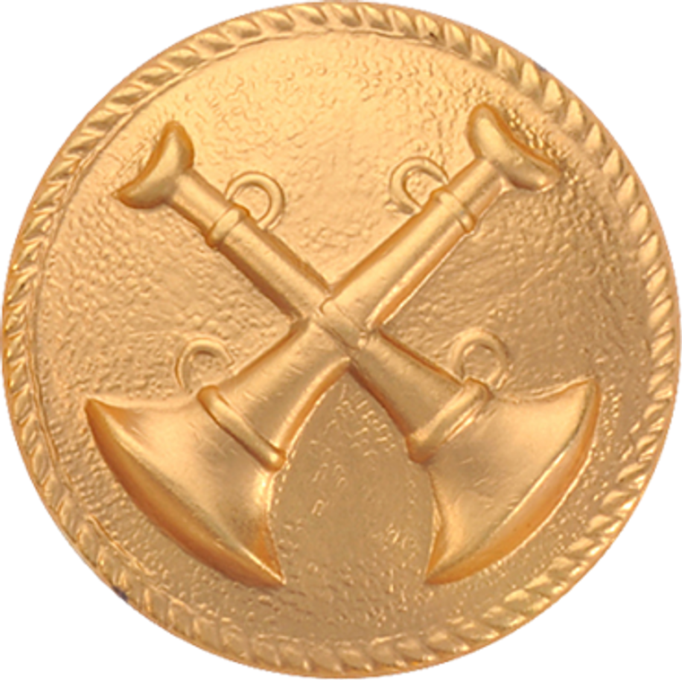 Blackinton Battalion Chief Solid Disk with gold finish