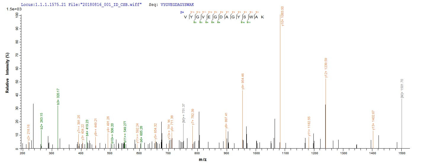 Based on the SEQUEST from database of E.coli host and target protein, the LC-MS/MS Analysis result of CSB-EP670430BWS could indicate that this peptide derived from E.coli-expressed Brucella abortus biovar 1 (strain 9-941) omp25.