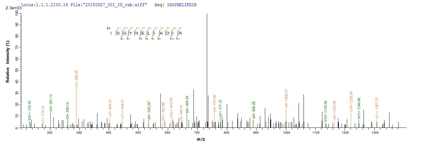 Based on the SEQUEST from database of E.coli host and target protein, the LC-MS/MS Analysis result of CSB-EP321092EDZ could indicate that this peptide derived from E.coli-expressed