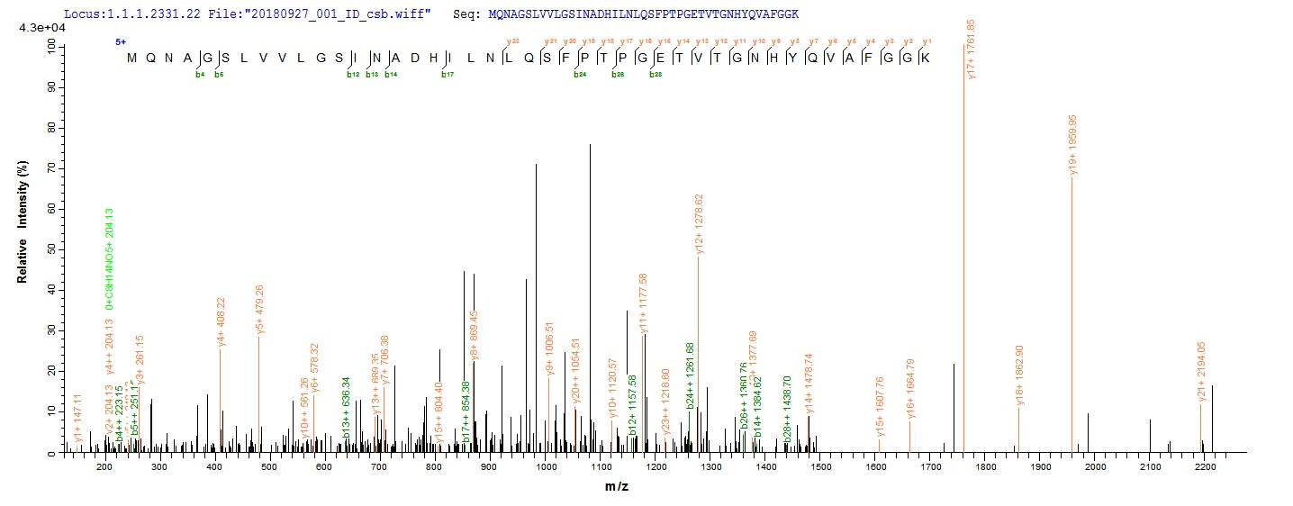Based on the SEQUEST from database of E.coli host and target protein, the LC-MS/MS Analysis result of CSB-EP019397ENV could indicate that this peptide derived from E.coli-expressed