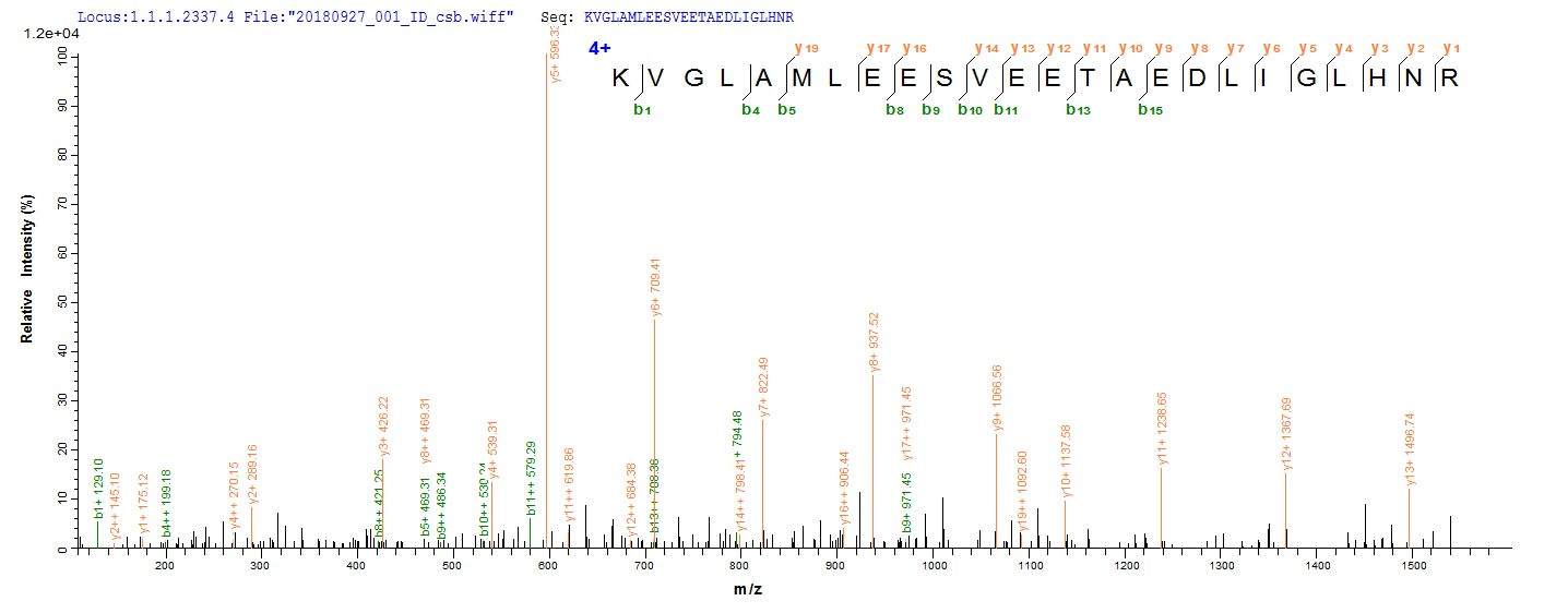 Based on the SEQUEST from database of E.coli host and target protein, the LC-MS/MS Analysis result of CSB-EP356120EEB could indicate that this peptide derived from E.coli-expressed