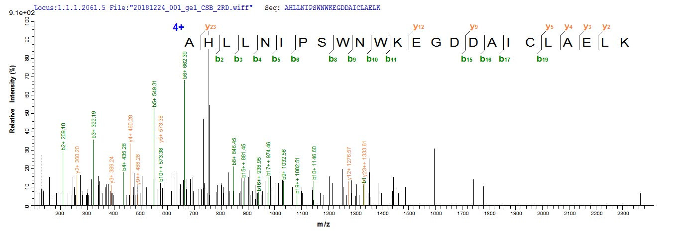 Based on the SEQUEST from database of E.coli host and target protein, the LC-MS/MS Analysis result of CSB-EP614255HU could indicate that this peptide derived from E.coli-expressed Homo sapiens (Human) KCNMA1.