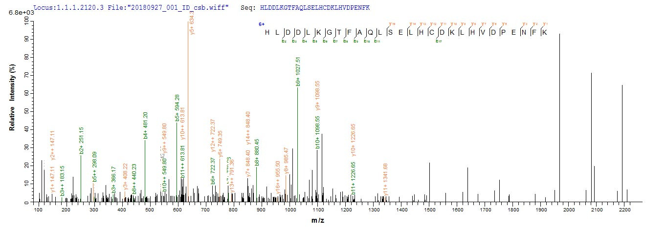 Based on the SEQUEST from database of E.coli host and target protein, the LC-MS/MS Analysis result of CSB-EP010155HU could indicate that this peptide derived from E.coli-expressed