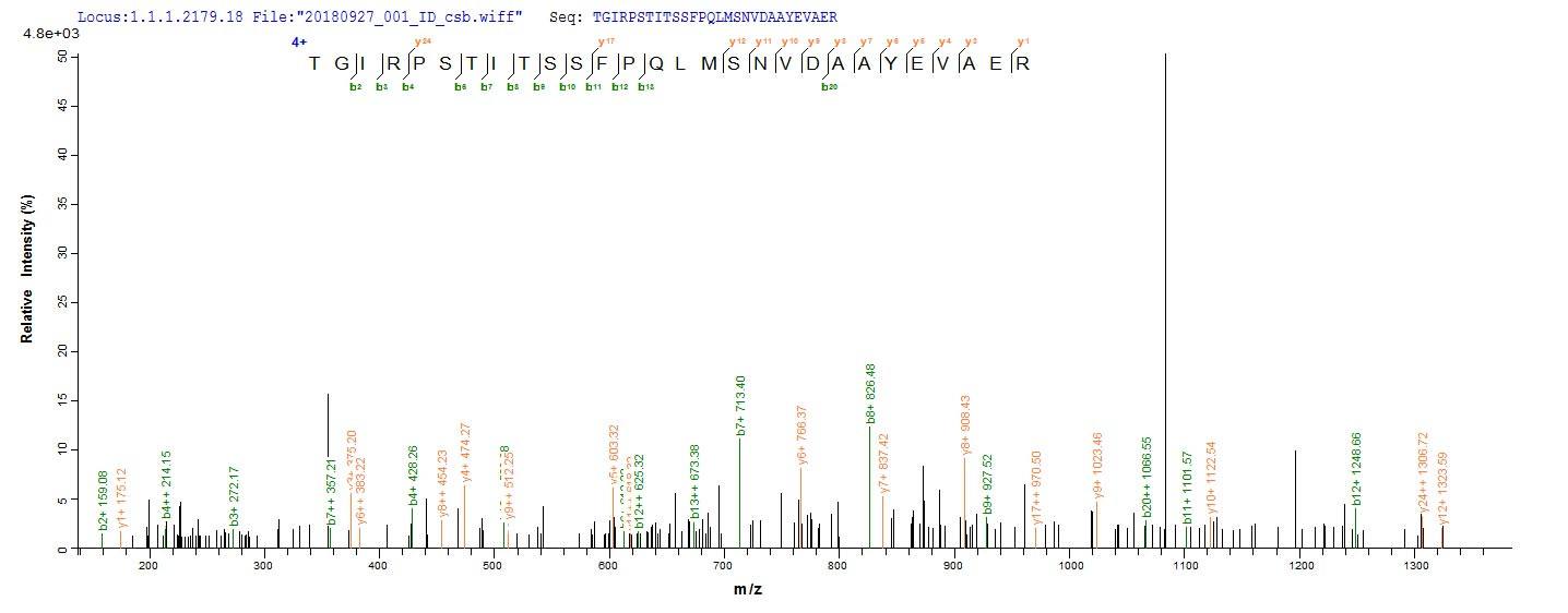 Based on the SEQUEST from database of E.coli host and target protein, the LC-MS/MS Analysis result of CSB-EP014667HU could indicate that this peptide derived from E.coli-expressed Homo sapiens (Human) MMP20.
