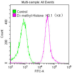 Overlay histogram showing Hela cells stained with CSB-RA010418A04me2HU (red line) at 1:50. The cells were fixed with 70% Ethylalcohol (18h) and then permeabilized with 0.3% Triton X-100 for 2 min.The cells were then incubated in 1x PBS /10% normal goat serum to block non-specific protein-protein interactions followed by primary antibody for 1 h at 4℃.The secondary antibody used was FITC goat anti-rabbit IgG (H+L) at 1/200 dilution for 1 h at 4℃. Control antibody (green line) was used under the same conditions. Acquisition of >10,000 events was performed.