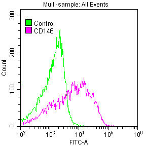 Overlay histogram showing A375 cells stained with CSB-RA013563A0HU (red line) at 1:50. The cells were fixed with 70% Ethylalcohol (18h) and then permeabilized with 0.3% Triton X-100 for 2 min.The cells were then incubated in 1x PBS /10% normal goat serum to block non-specific protein-protein interactions followed by primary antibody for 1 h at 4℃.The secondary antibody used was FITC goat anti-rabbit IgG (H+L) at 1/200 dilution for 1 h at 4℃. Control antibody (green line) was used under the same conditions. Acquisition of >10,000 events was performed.