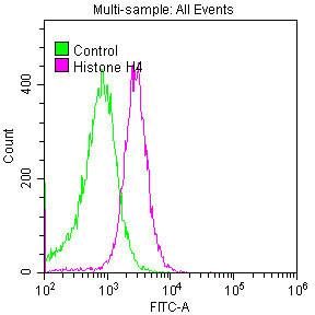 Overlay histogram showing Hela cells stained with CSB-RA010429A0HU (red line) at 1:50. The cells were fixed with 70% Ethylalcohol (18h) and then permeabilized with 0.3% Triton X-100 for 2 min.The cells were then incubated in 1x PBS /10% normal goat serum to block non-specific protein-protein interactions followed by primary antibody for 1 h at 4℃.The secondary antibody used was FITC goat anti-rabbit IgG (H+L) at 1/200 dilution for 1 h at 4℃. Control antibody (green line) was used under the same conditions. Acquisition of >10,000 events was performed.